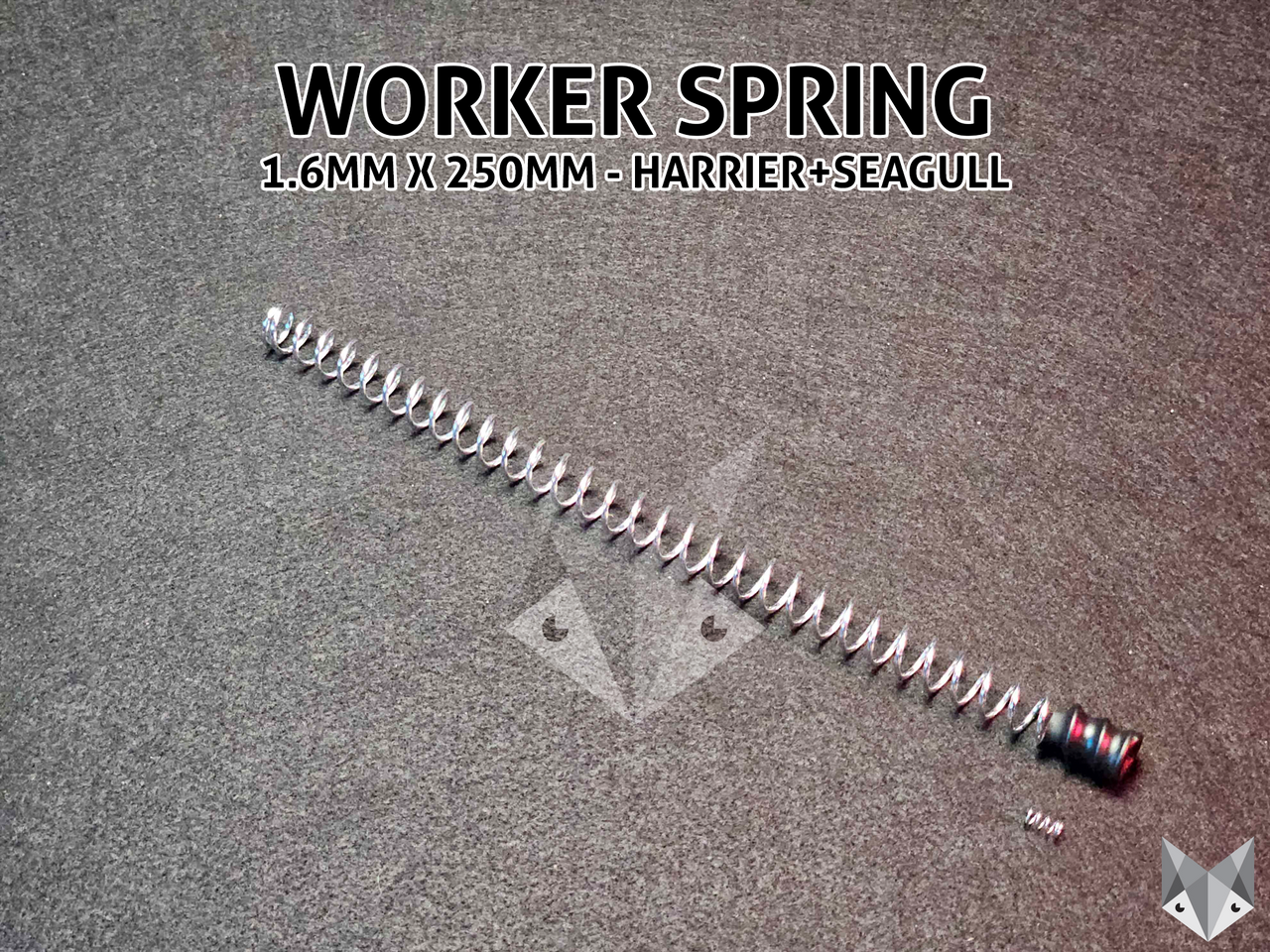 Worker Seagull and Harrier Springs